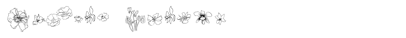 Flower Sketch image